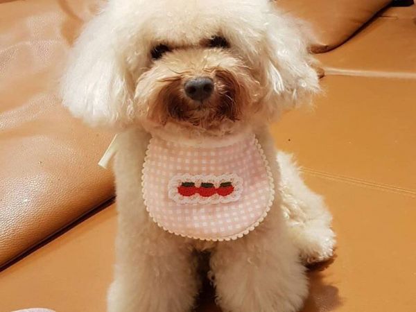 未成年子女監護權之戰，停!看!聽!